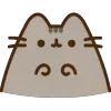 🐱