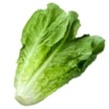 🥬