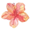 🌸