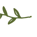 🌱