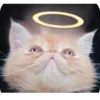 🫥