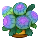 💐