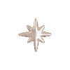 🌟