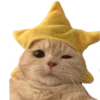 ⭐️