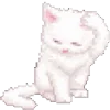 🐱