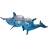 🐬