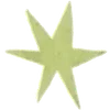 🌟