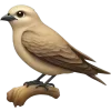 🐦