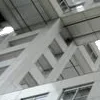 🕸️