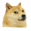 🐶