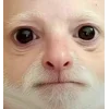🫥