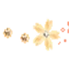 🌟