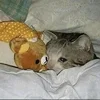 🛏