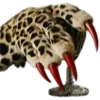 🐆