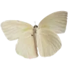 🦋