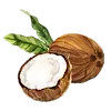🥥