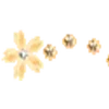 🌟