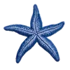 ⭐️