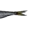 🐟