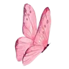 🦋