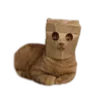 🐱