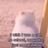 🥲