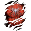 🕷️