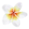 🌸
