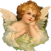 👼