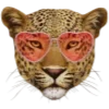 🐆