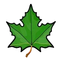 🍁