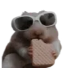 🐹