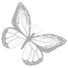 🦋