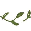 🌱