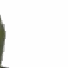 ⭐️