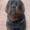 😐