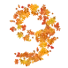 9️⃣