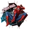 🕷️