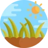 🌱
