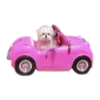 🚗