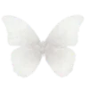 🦋