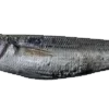🐟