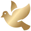 🕊️