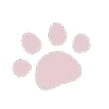 🐾