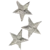 🌟