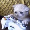 🎮