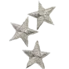🌟