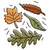 🍂