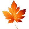 🍂