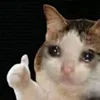 🥺